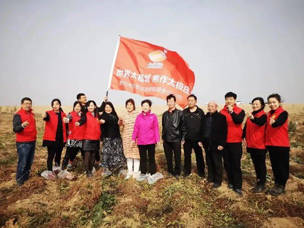 11月12日，眾人翹首以盼的太極莊山藥采挖活動在太極莊公司的溫縣·富硒鐵棍山藥標準化種植基地拉開帷幕